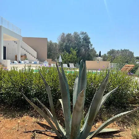 Vila Pasquy